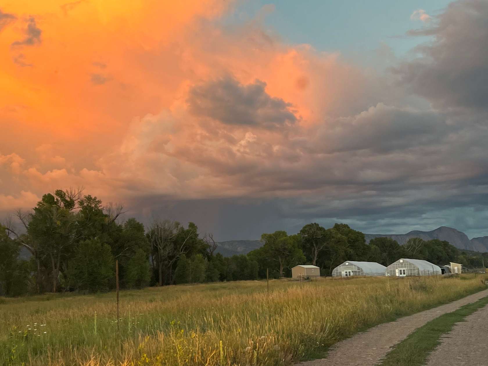 13.7 Acres of Land for Sale in Los Ojos, New Mexico