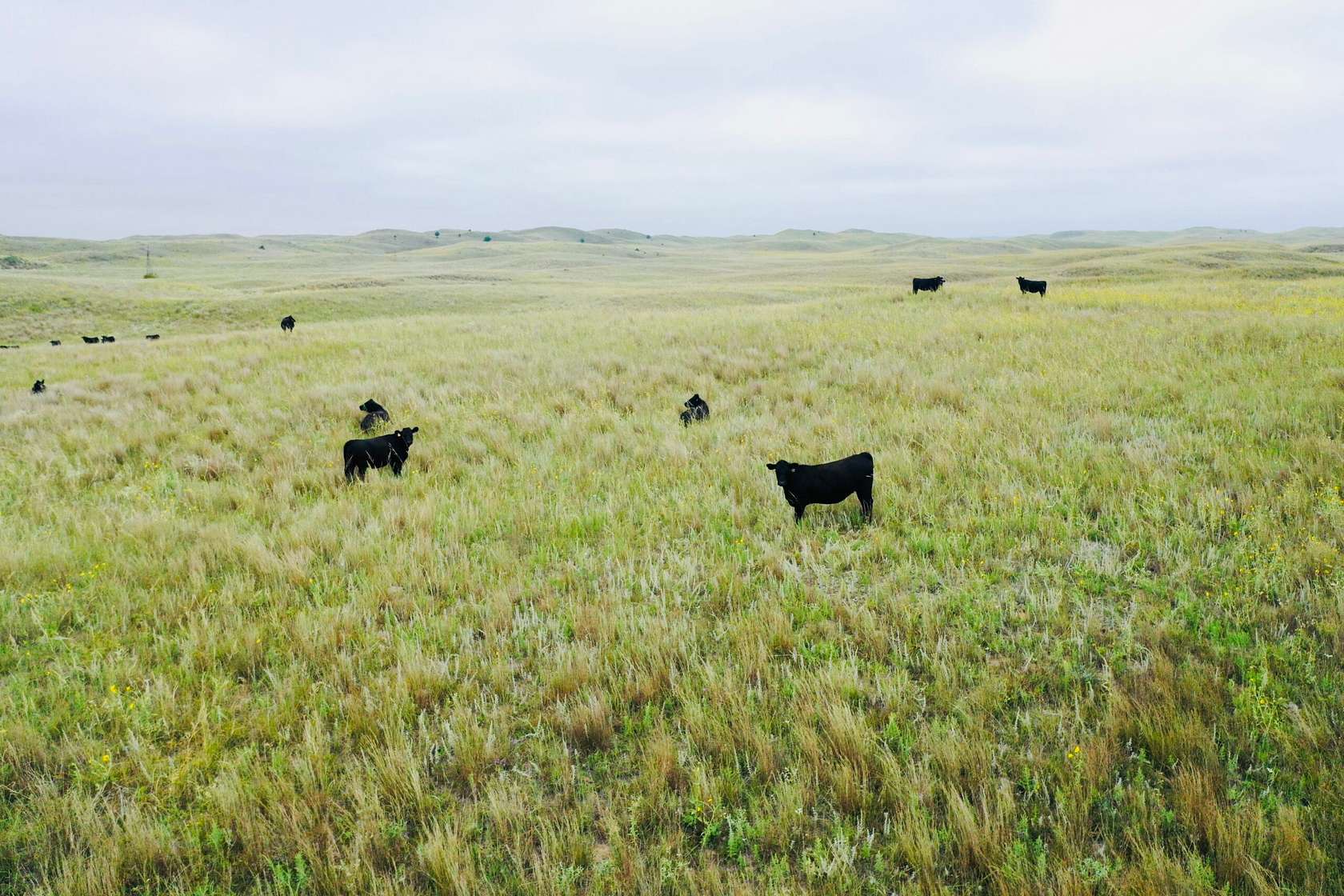 756 Acres of Recreational Land for Sale in Arnold Township, Nebraska