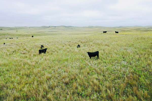 756 Acres of Recreational Land for Sale in Arnold Township, Nebraska