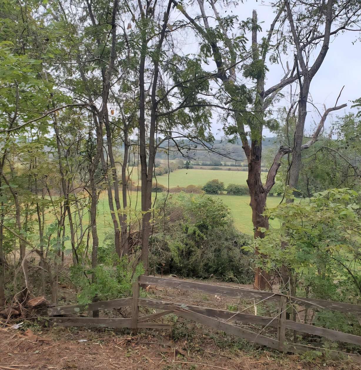 166 Acres of Agricultural Land for Sale in Springfield, Missouri