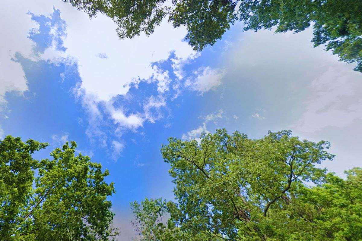 0.3 Acres of Residential Land for Sale in Horseshoe Bend, Arkansas