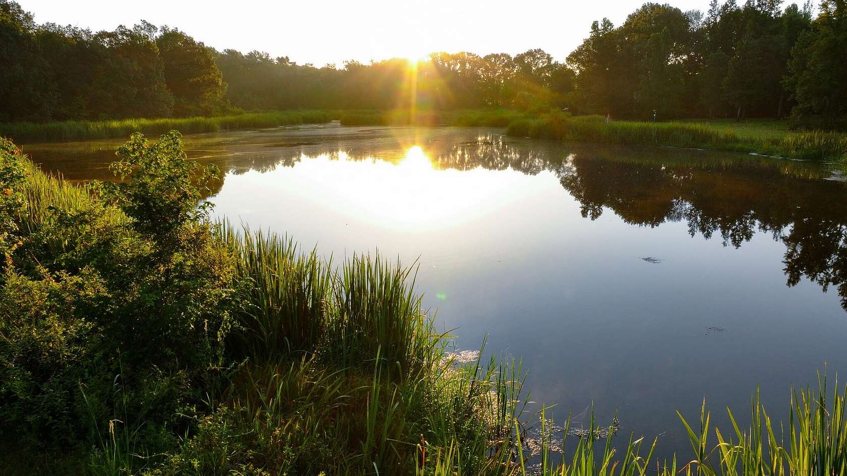 21.7 Acres of Land with Home for Sale in Athens, Texas