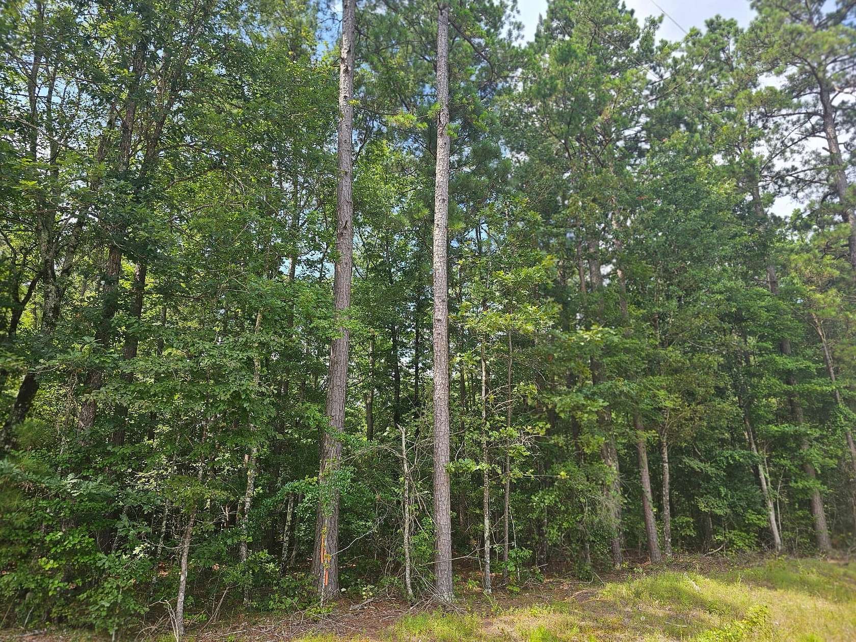 24 Acres of Recreational Land for Sale in Gurdon, Arkansas