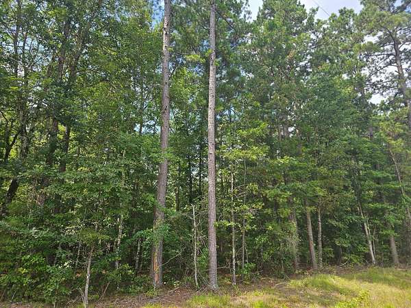 24 Acres of Recreational Land for Sale in Gurdon, Arkansas