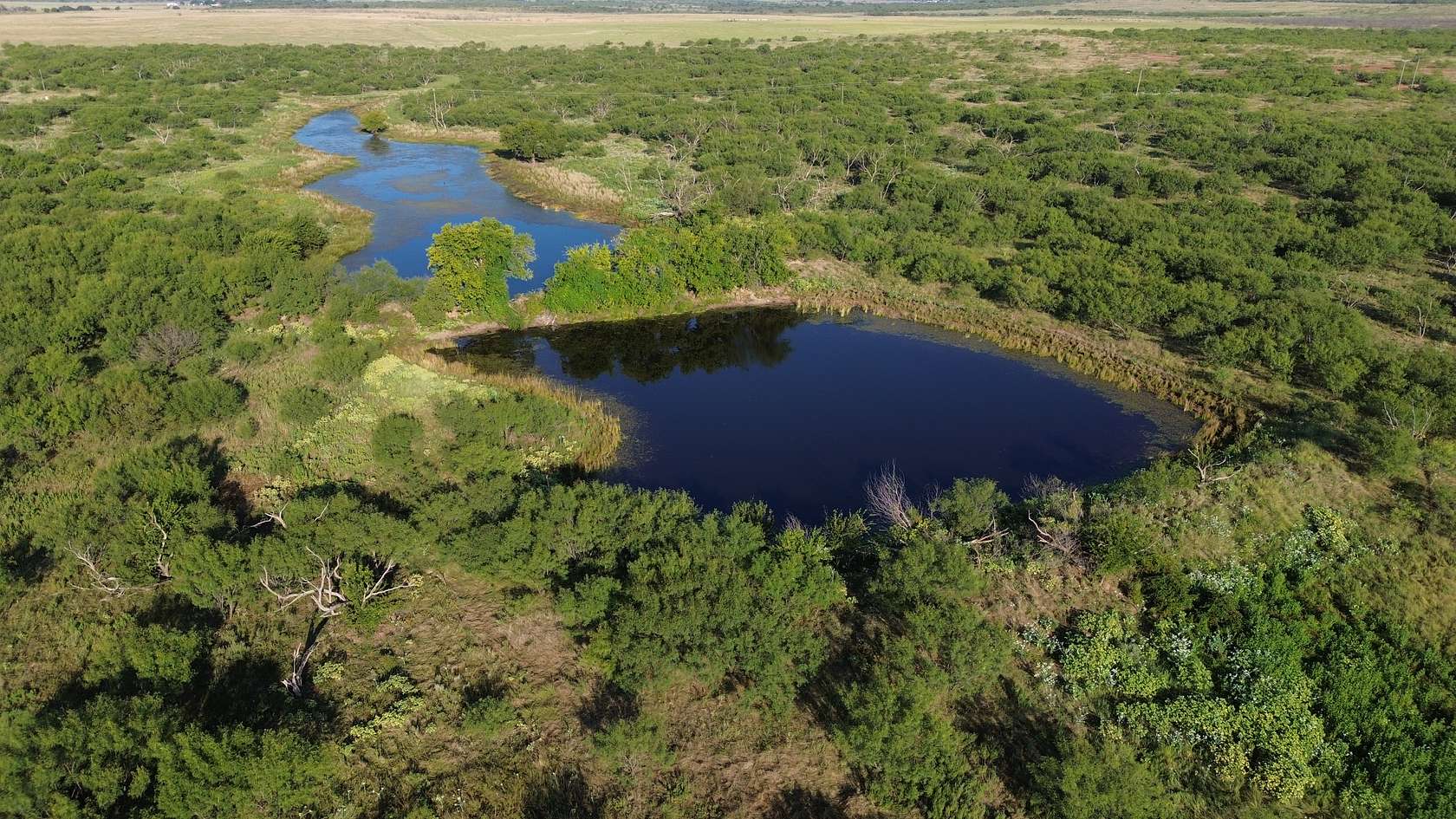 152 Acres of Recreational Land & Farm for Sale in Henrietta, Texas