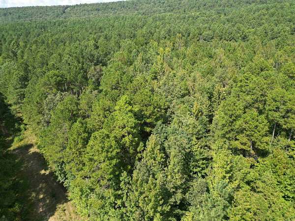 10 Acres of Recreational Land for Sale in Dover, Arkansas