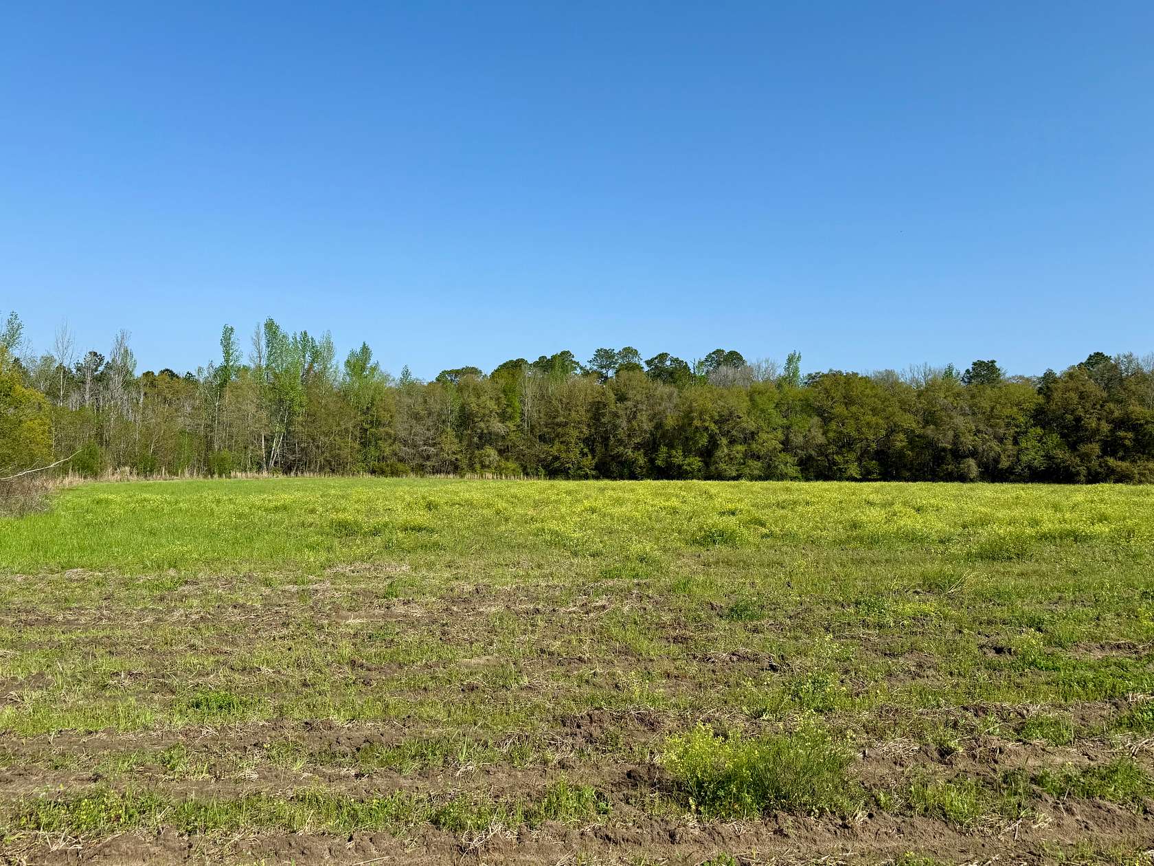 10.3 Acres of Land for Sale in Florala, Alabama
