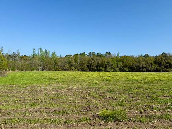 10.3 Acres of Land for Sale in Florala, Alabama