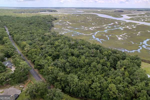 5 Acres of Residential Land for Sale in Woodbine, Georgia