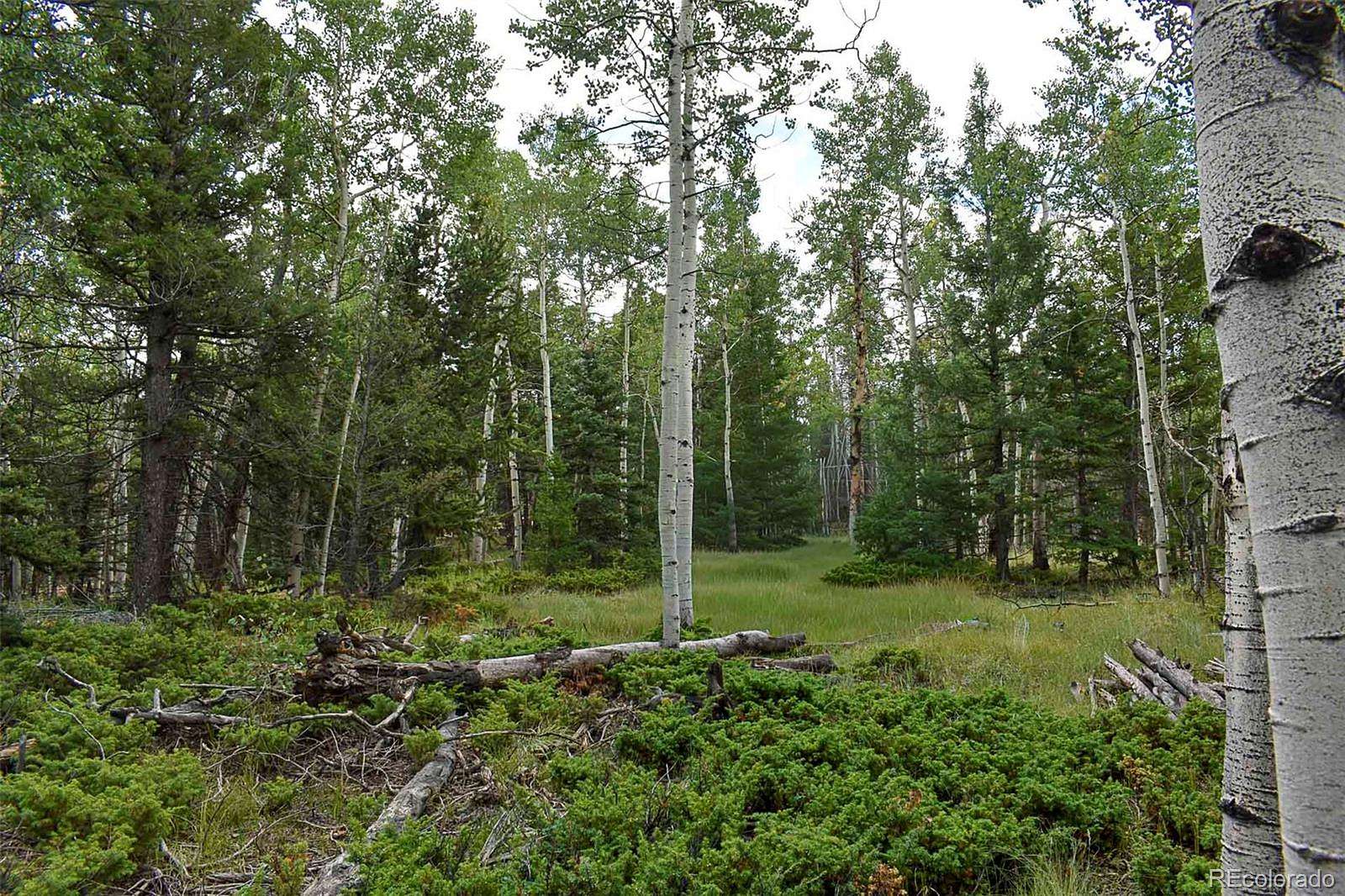 1.3 Acres of Residential Land for Sale in Guffey, Colorado