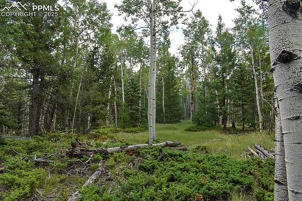 1.3 Acres of Residential Land for Sale in Guffey, Colorado