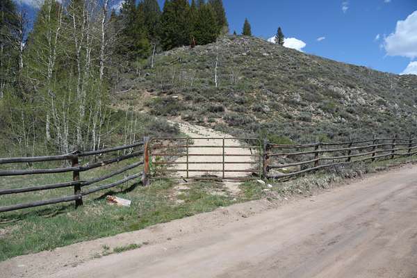 19.2 Acres of Land for Sale in Stanley, Idaho