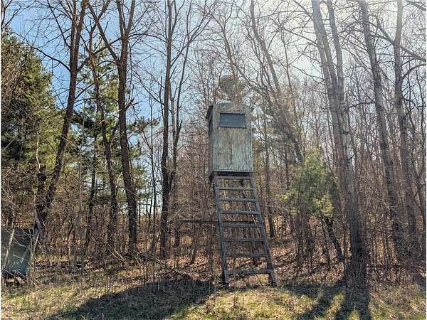 111 Acres of Recreational & Residential Land for Sale in Clayton, Wisconsin