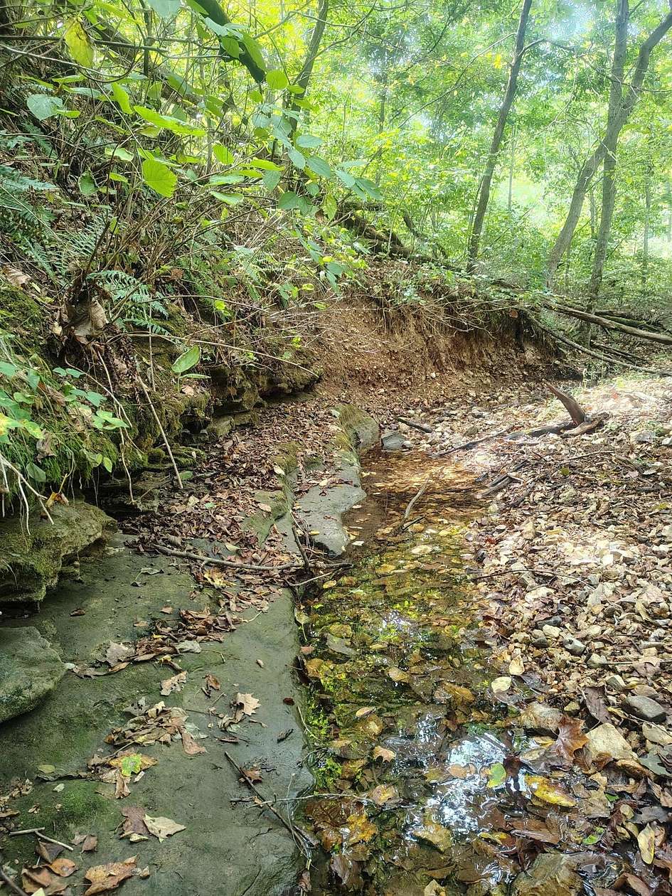 107 Acres of Recreational Land for Sale in Aurora, Missouri