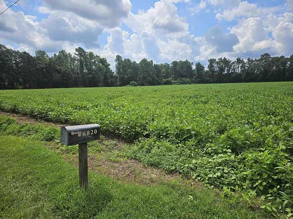 36.4 Acres of Agricultural Land for Sale in Nichols, South Carolina