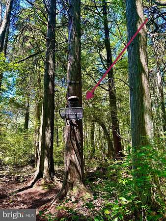 3.88 Acres of Residential Land with Home for Sale in Egg Harbor City, New Jersey