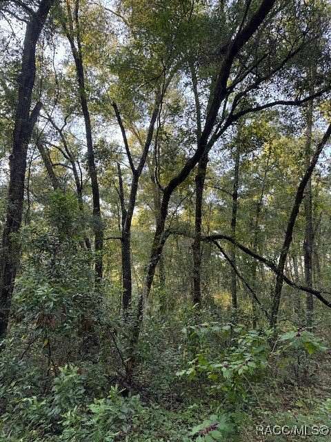 0.22 Acres of Residential Land for Sale in Inverness, Florida