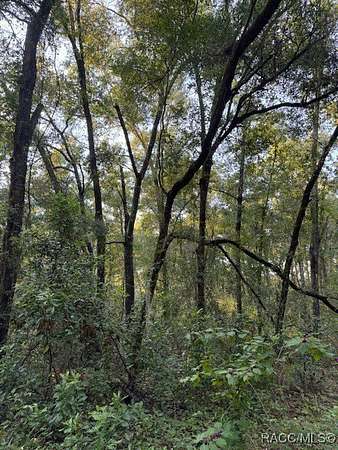 0.22 Acres of Residential Land for Sale in Inverness, Florida