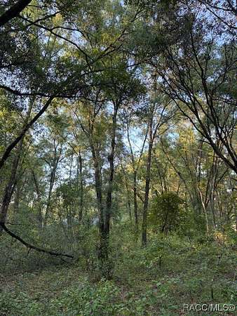 0.22 Acres of Residential Land for Sale in Inverness, Florida