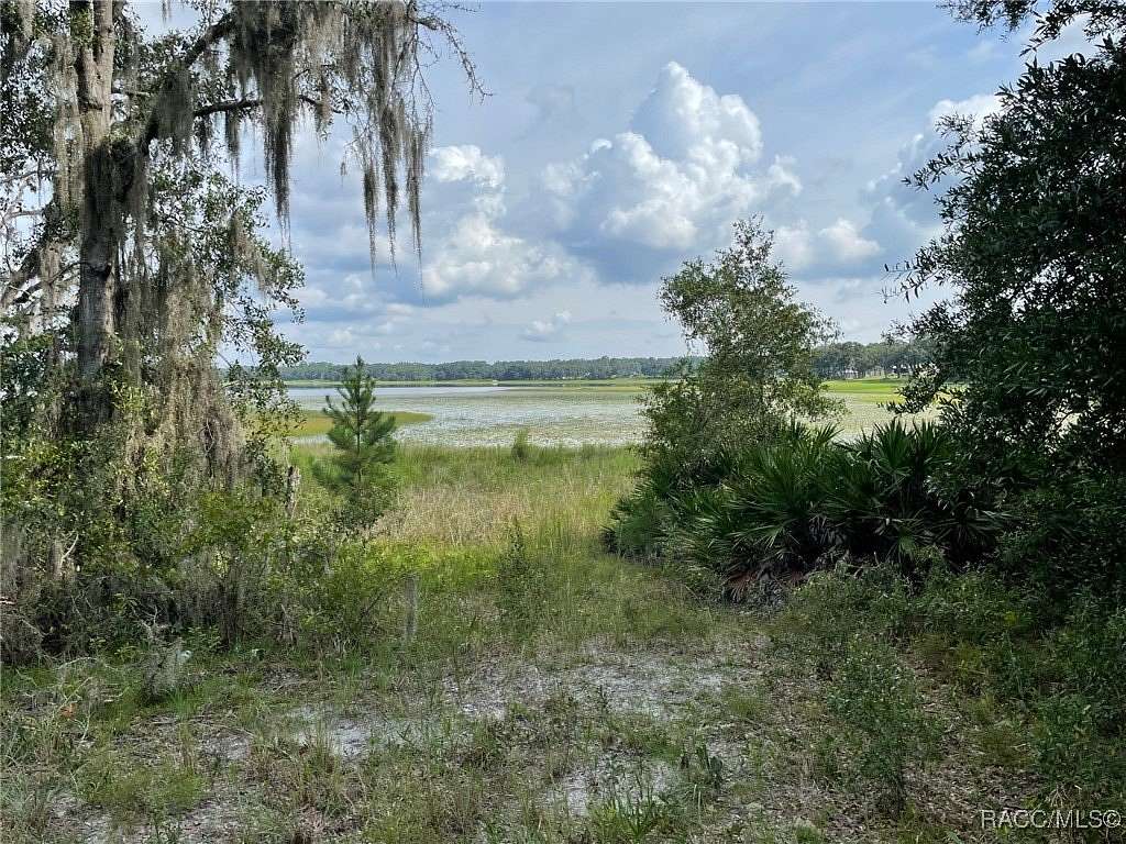 0.41 Acres of Residential Land for Sale in Dunnellon, Florida