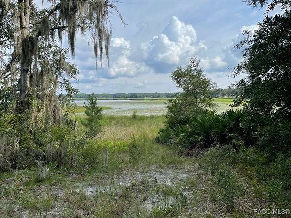 0.41 Acres of Residential Land for Sale in Dunnellon, Florida