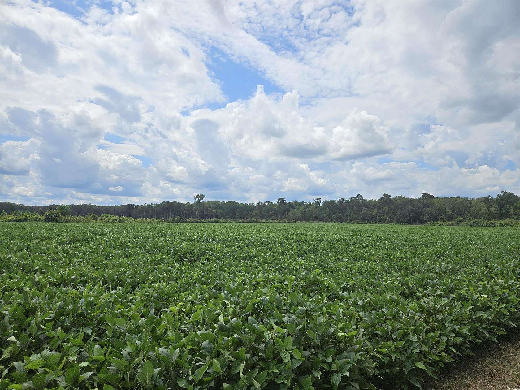 62.9 Acres of Recreational Land & Farm for Sale in Nichols, South Carolina