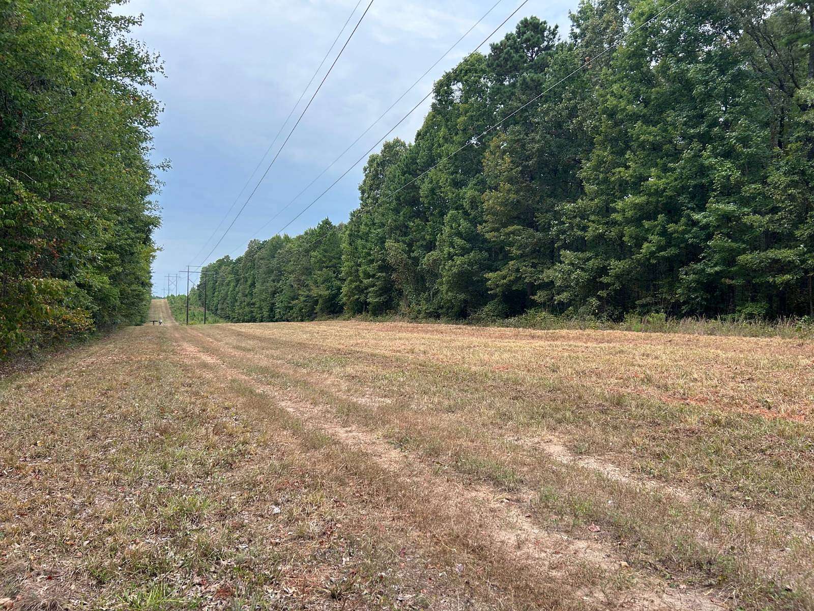 23 Acres of Recreational Land for Sale in Magnolia, Arkansas