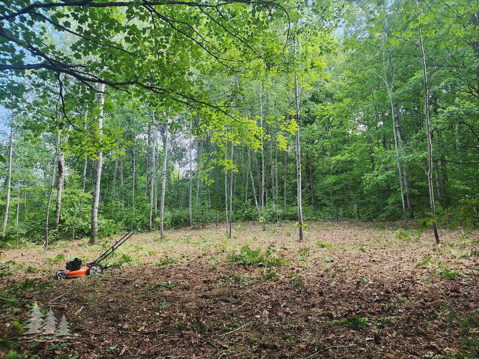 Land for Sale in Frederic, Michigan