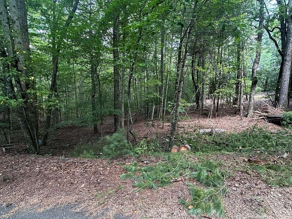 Land for Sale in Hayesville, North Carolina