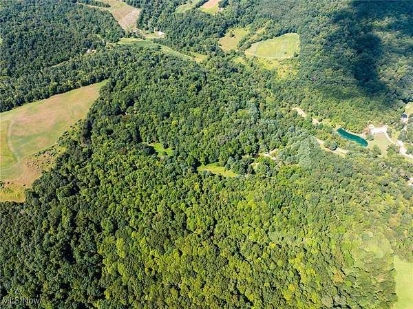 47.6 Acres of Recreational Land for Auction in Warsaw, Ohio