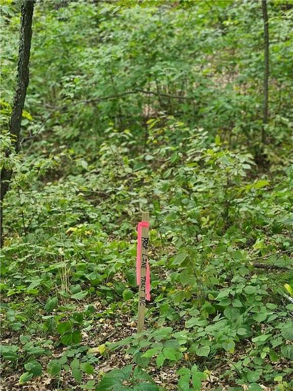 4.4 Acres of Land for Sale in Pillager, Minnesota