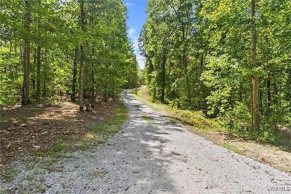 18.3 Acres of Land with Home for Sale in Coker, Alabama