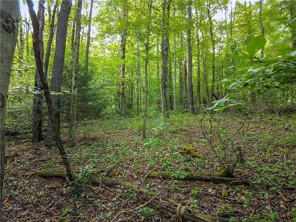11.6 Acres of Land for Sale in Beaver Falls, Pennsylvania