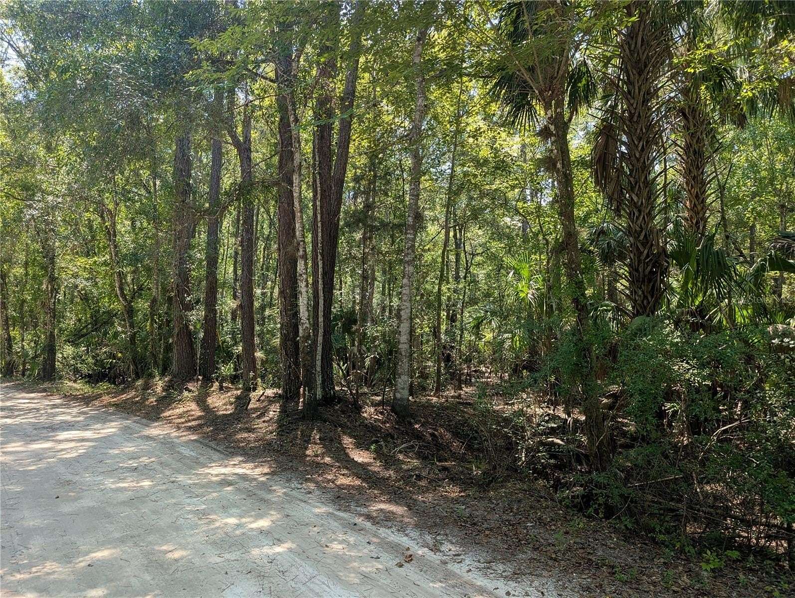 1.34 Acres of Residential Land for Sale in Hernando, Florida