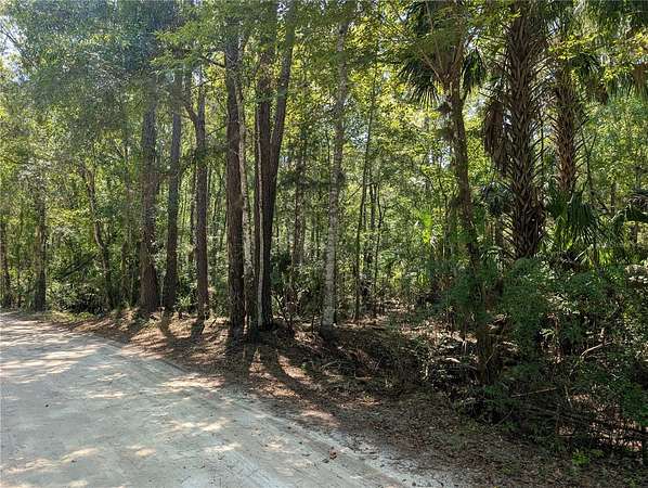 1.34 Acres of Residential Land for Sale in Hernando, Florida
