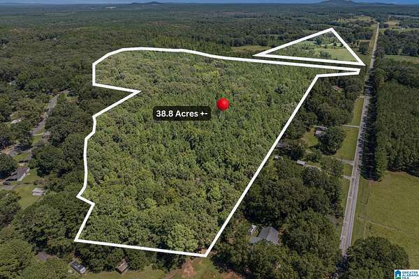 38.8 Acres of Land for Sale in Childersburg, Alabama