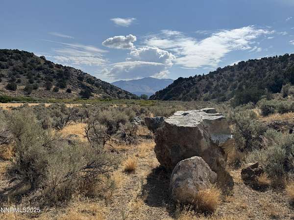 7.22 Acres of Land for Sale in Gardnerville, Nevada