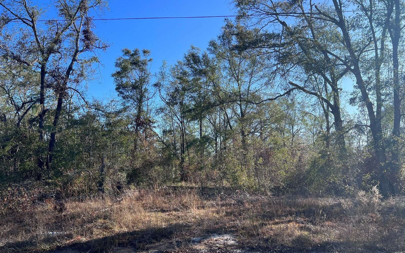 2 Acres of Residential Land for Sale in Lee, Florida