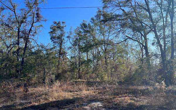 2 Acres of Residential Land for Sale in Lee, Florida