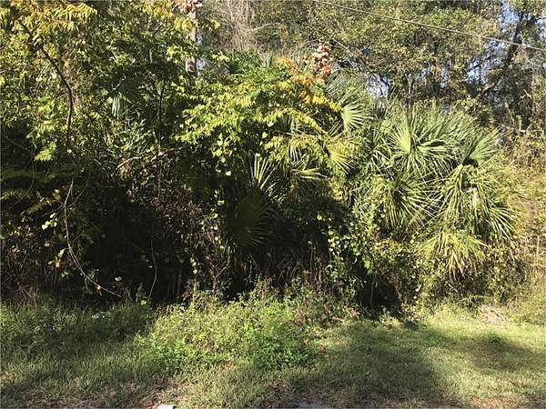 0.2 Acres of Residential Land for Sale in Lake Panasoffkee, Florida