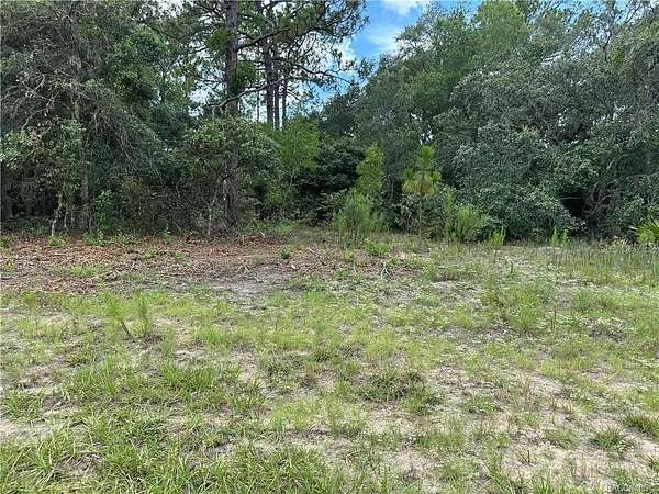 0.23 Acres of Residential Land for Sale in Citrus Springs, Florida