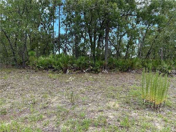 0.23 Acres of Residential Land for Sale in Citrus Springs, Florida