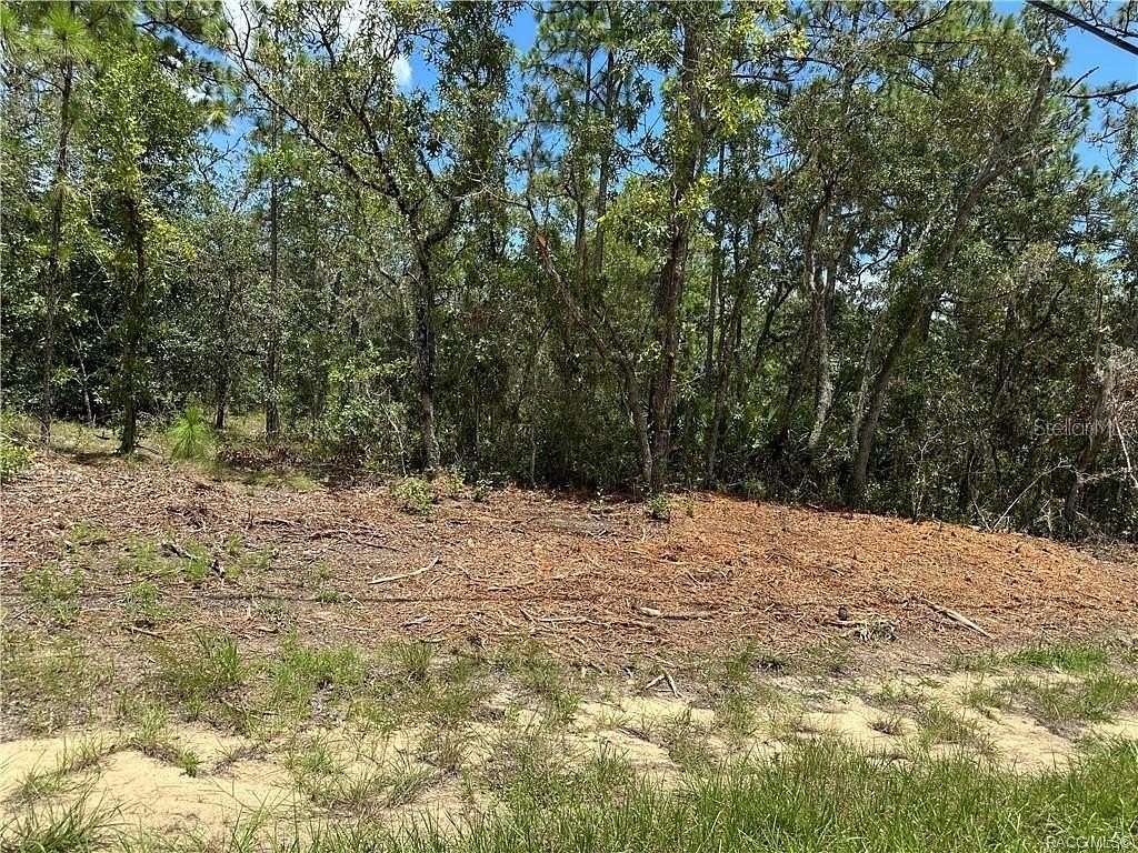 0.23 Acres of Residential Land for Sale in Citrus Springs, Florida