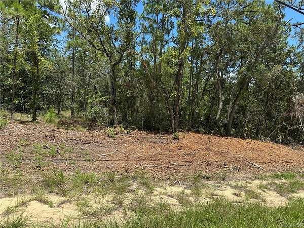 0.23 Acres of Residential Land for Sale in Citrus Springs, Florida