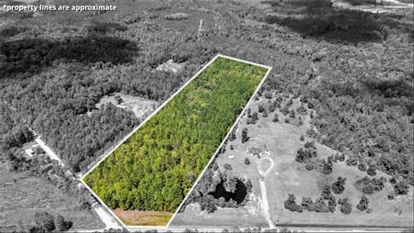 15.5 Acres of Land for Sale in Ludowici, Georgia