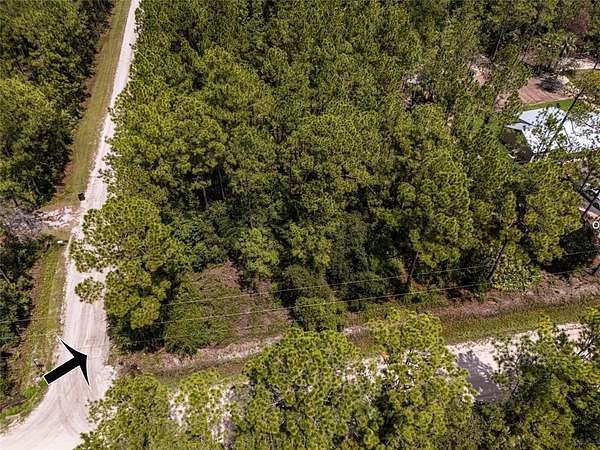 0.98 Acres of Residential Land for Sale in Bunnell, Florida