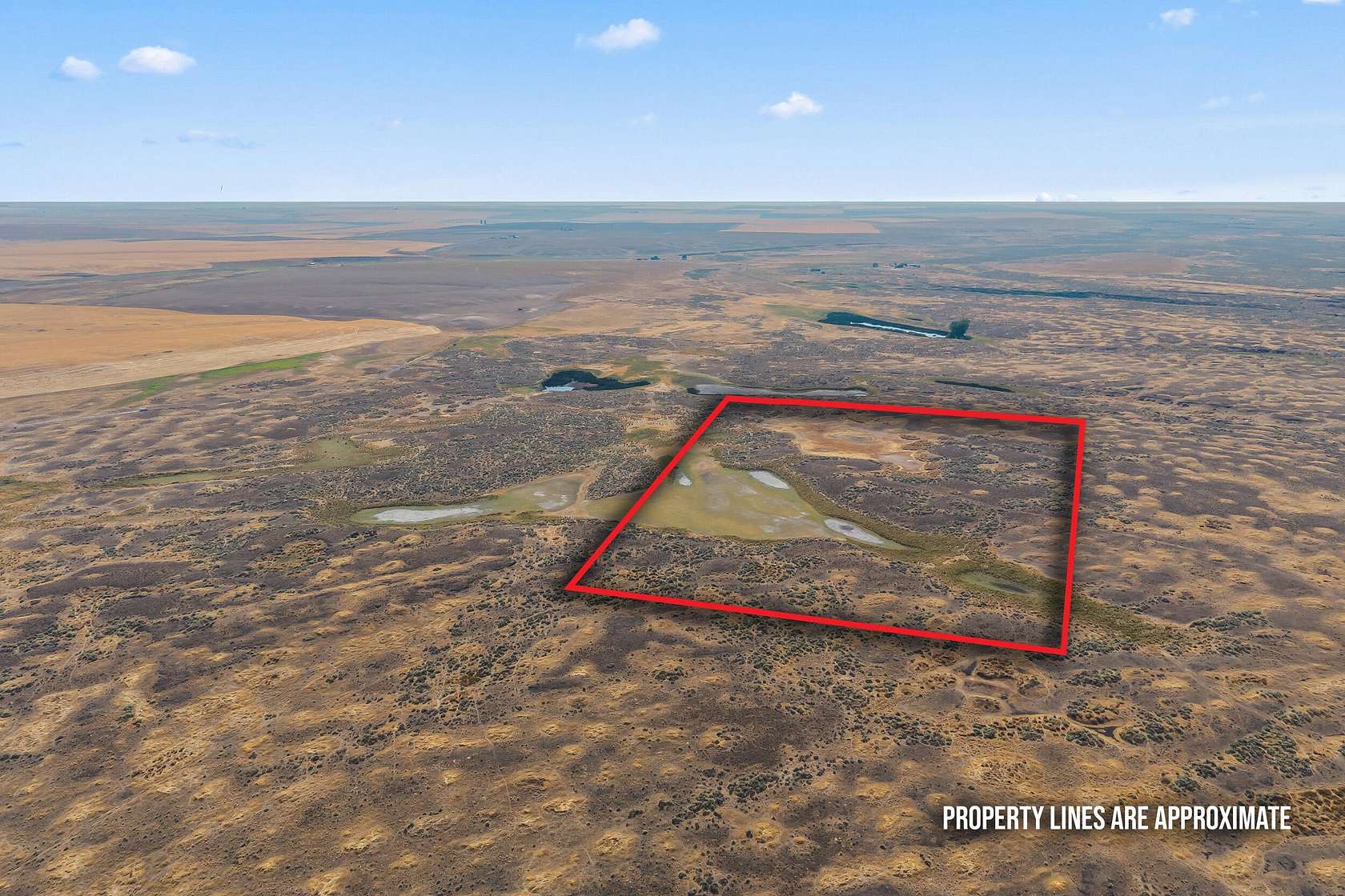 40 Acres of Recreational Land & Farm for Sale in Davenport, Washington