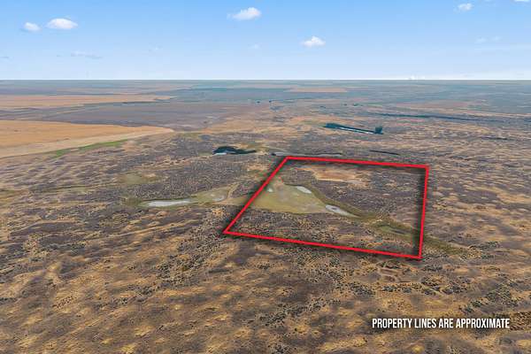 40 Acres of Recreational Land & Farm for Sale in Davenport, Washington