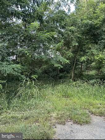 0.23 Acres of Residential Land for Sale in Orange, Virginia
