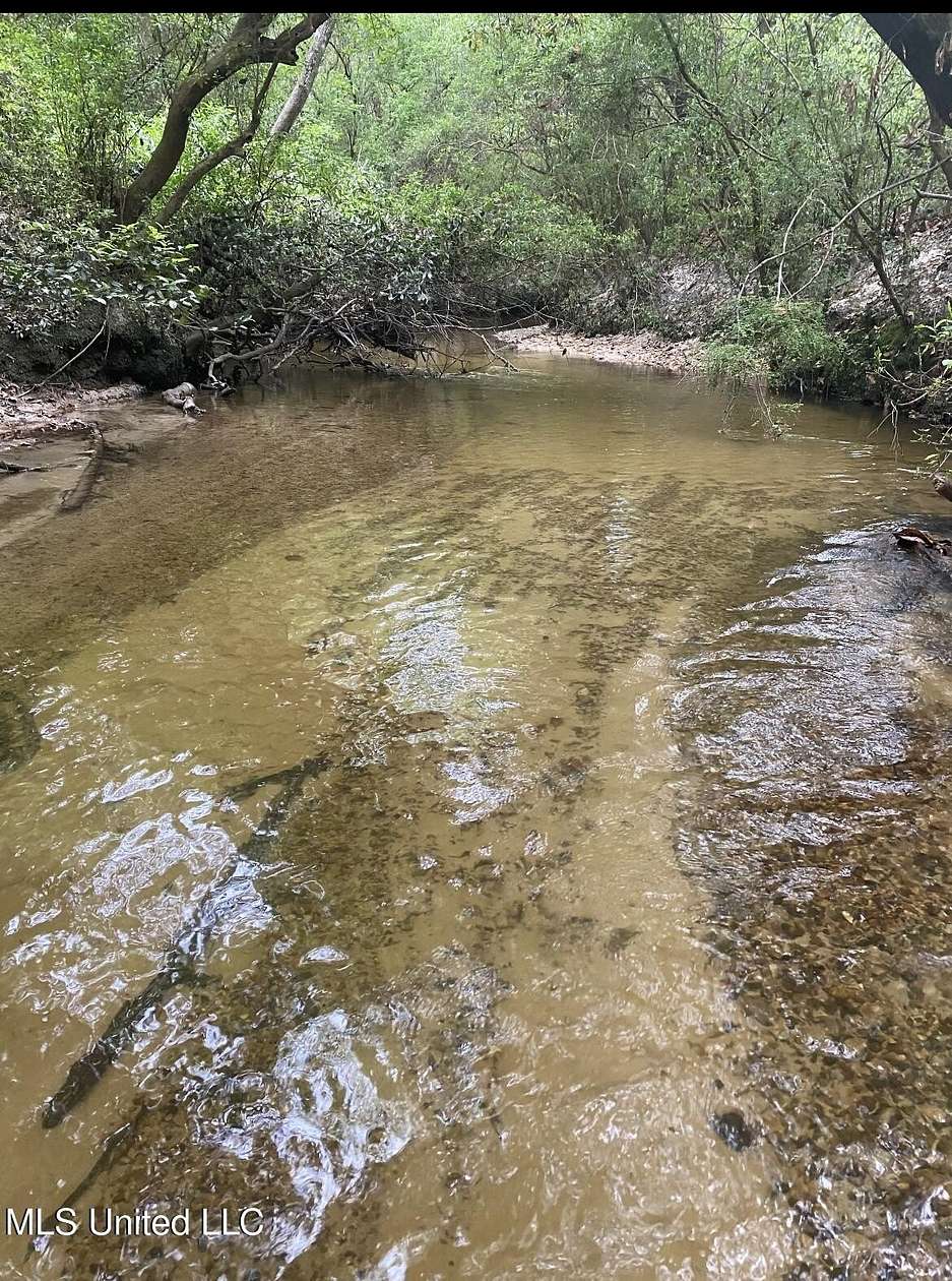 10.4 Acres of Recreational Land for Sale in Lucedale, Mississippi